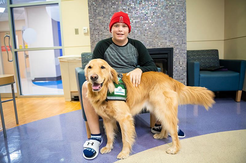 Therapy Dogs - Children's Medical Center Foundation